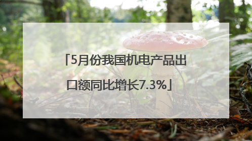 5月份我国机电产品出口额同比增长7.3%
