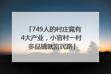 749人的村庄竟有4大产业，小官村一村多品铺就富民路