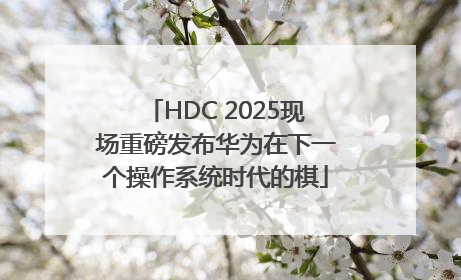 HDC 2025现场重磅发布华为在下一个操作系统时代的棋