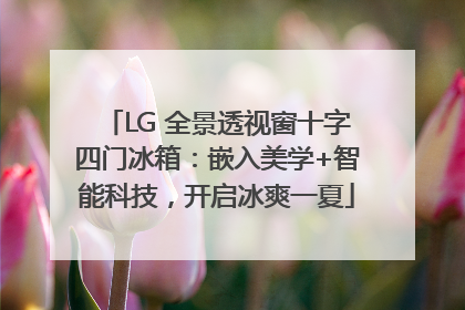LG 全景透视窗十字四门冰箱：嵌入美学+智能科技，开启冰爽一夏
