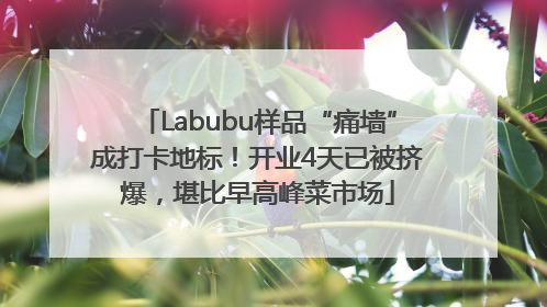 Labubu样品“痛墙”成打卡地标！开业4天已被挤爆，堪比早高峰菜市场