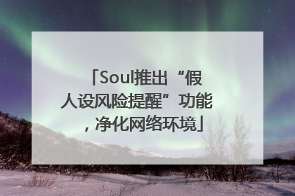 Soul推出“假人设风险提醒”功能，净化网络环境